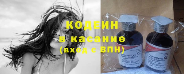 сатива Беломорск