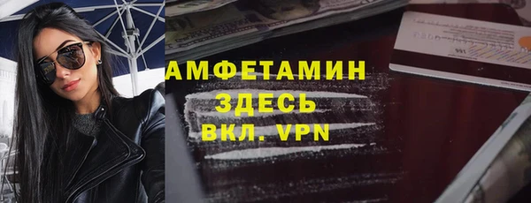 сатива Беломорск