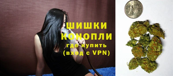 сатива Беломорск