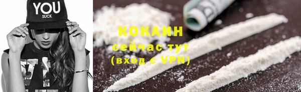 сатива Беломорск