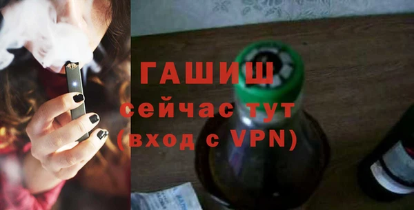сатива Беломорск