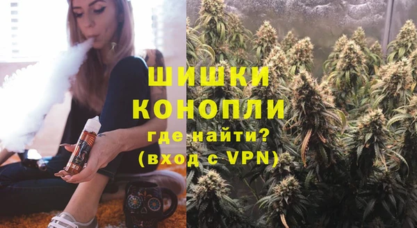 сатива Беломорск