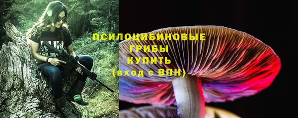 сатива Беломорск